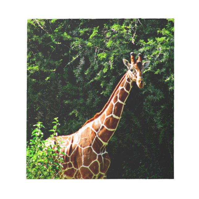 Samburu Giraffe Notepad (Front)
