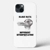 Same Data Different Interpretation Duck Rabbit