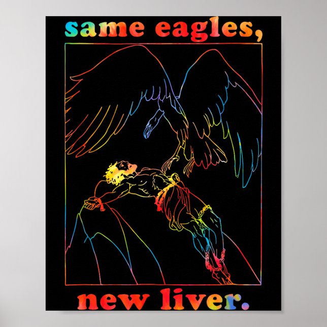 Same Eagles New Liver Funny Apparel  Poster (Front)