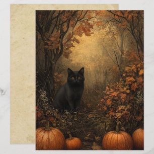 Samhain Black Cat Scrapbook Paper
