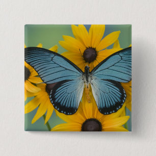 Sammamish Washington Photograph of Butterfly 2 Inch Square Button