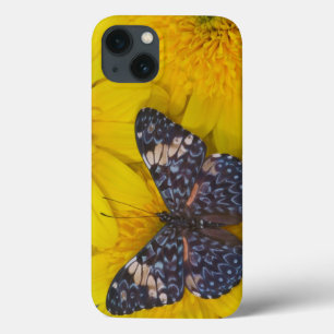 Sammamish Washington Photograph of Butterfly 43 iPhone 13 Case