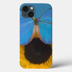 Sammamish Washington Photograph of Butterfly 57 iPhone 13 Case
