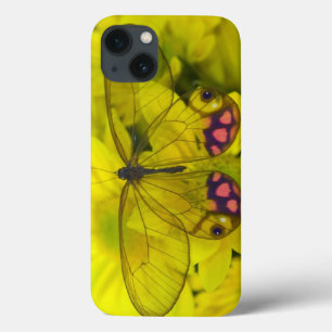Sammamish Washington Photograph of Butterfly on 8 iPhone 13 Case