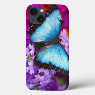 Sammamish Washington Tropical Butterfly 7 iPhone 13 Case