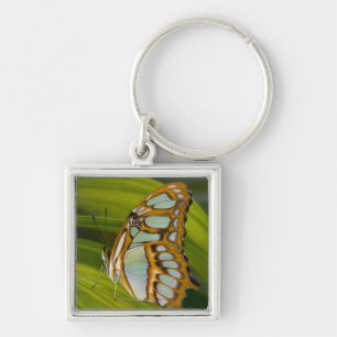 Sammamish, Washington, USA Keychain