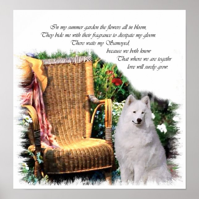 Samoyed Art Print (Front)