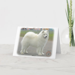Samoyed Card