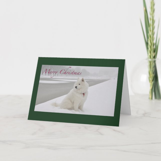 Samoyed Christmas (Lincoln Memorial) Holiday Card (Front)