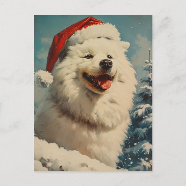 Samoyed Christmas Postcard (Front)
