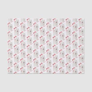 Samoyed Christmas Tissue Paper