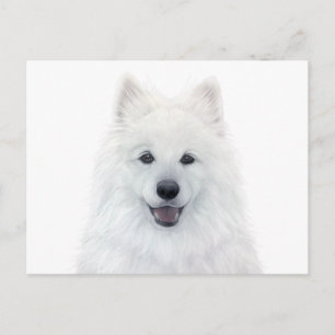 Samoyed dog by miart original painting postcard