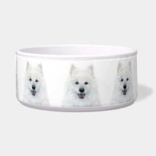 Samoyed Dog Ceramic Pet Bowl by miart