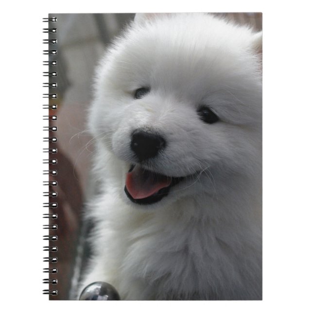 Samoyed Dog Notebook (Front)
