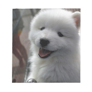 Samoyed Dog Notepad