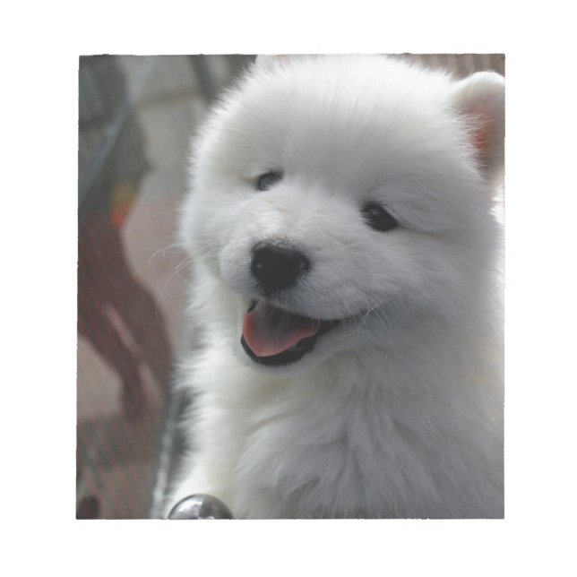 Samoyed Dog Notepad (Front)
