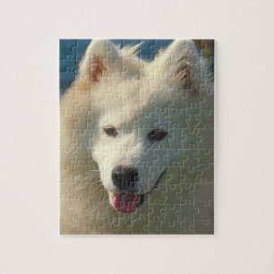 Samoyed Dog Puzzle