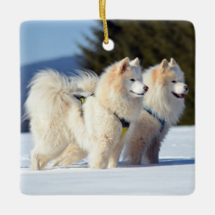 Samoyed Dogs in the Snow Ceramic Ornament