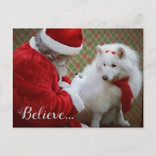 Samoyed et carte postale de Noël de Père Noël