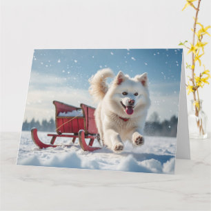 Samoyed Festive Holiday Christmas Card