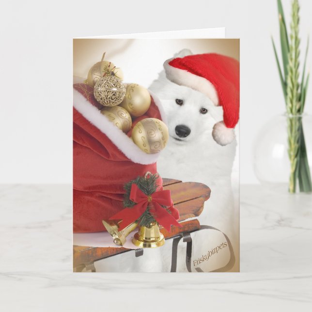 Samoyed Friends Sledding Cards (Front)