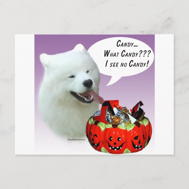 Samoyed Halloween Candy Postcard (Front)