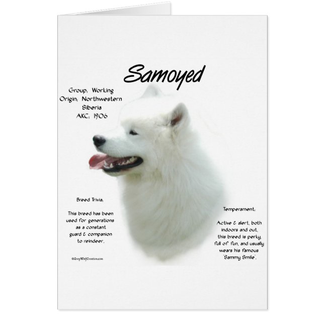 Samoyed History Design (Front)