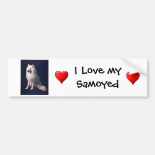Samoyed Love Bumper Sticker