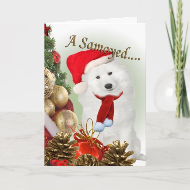 Samoyed Merry Christmas Card (Front)