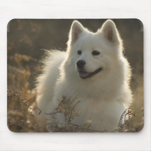Samoyed Mouse Pad (Front)