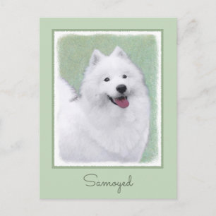 Samoyed Painting - Cute Original Dog Art Postcard