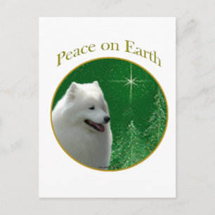 Samoyed Peace Postcard