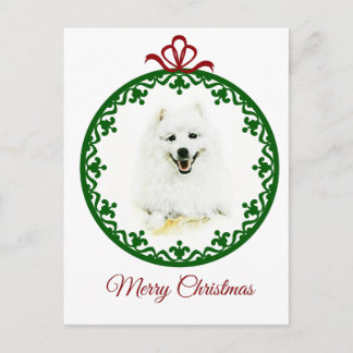 Samoyed Postcard