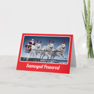Samoyed Powered Sleigh Folded Greeting Card
