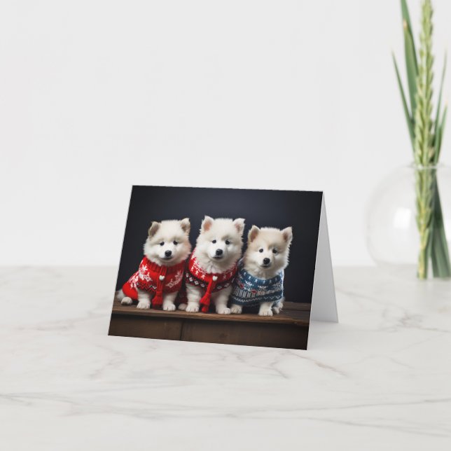 Samoyed Puppies Christmas Card (Front)