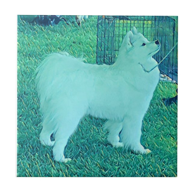 Samoyed Puppy ceramic tile (Front)