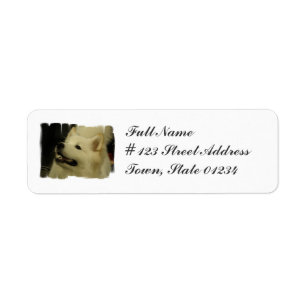 Samoyed Puppy Return Address Mailing Label