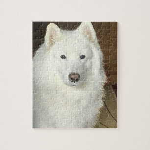 Samoyed Puzzle