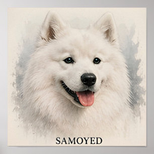 Samoyed Smiling Arctic Dog Portrait Poster