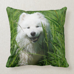 Samoyed Throw Pillow