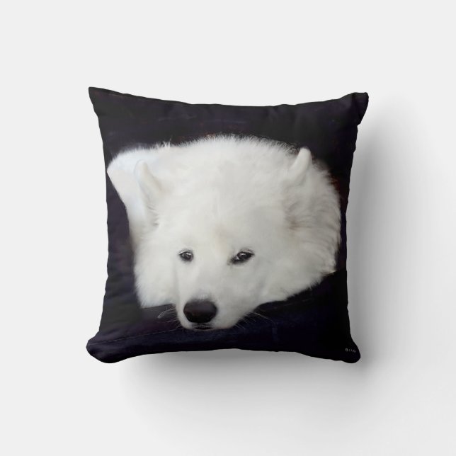 Samoyed Throw Pillow:Choice of Material, Colour Pillow (Front)