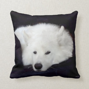 Samoyed Throw Pillow:Choice of Material, Colour Pillow