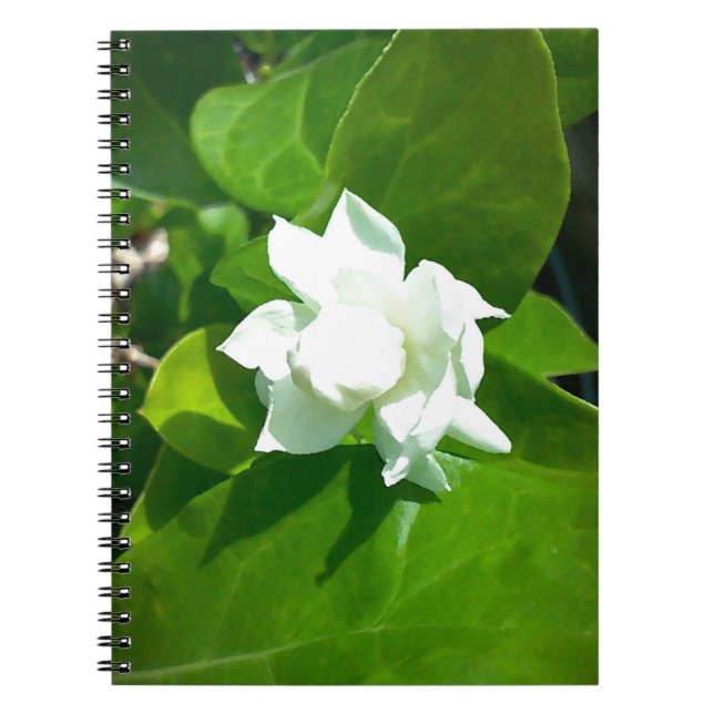 Sampaguita Jasmine flower Notebook (Front)