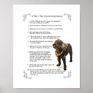 SAMSON - Poster