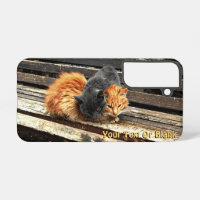Coque-Mate Cuties Catnap coque iphone