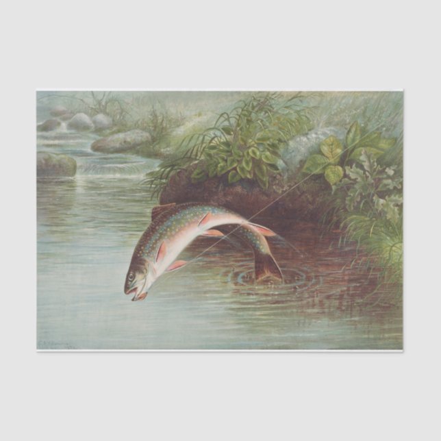 Samuel Kilbourne | Leaping Brook Trout - 1874 Tissue Paper (Front)