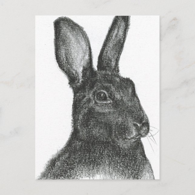 Samuel L Jackson Postcard (Front)