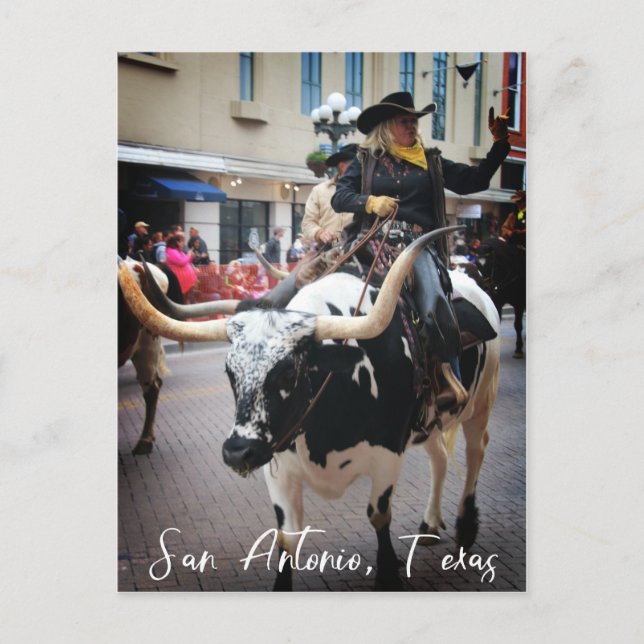 San Antonio Longhorn Postcard (Front)