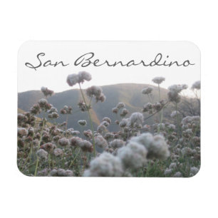 San Bernardino Magnet