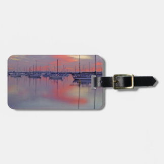 San Diego Bay Seen From The Airport Luggage Tag